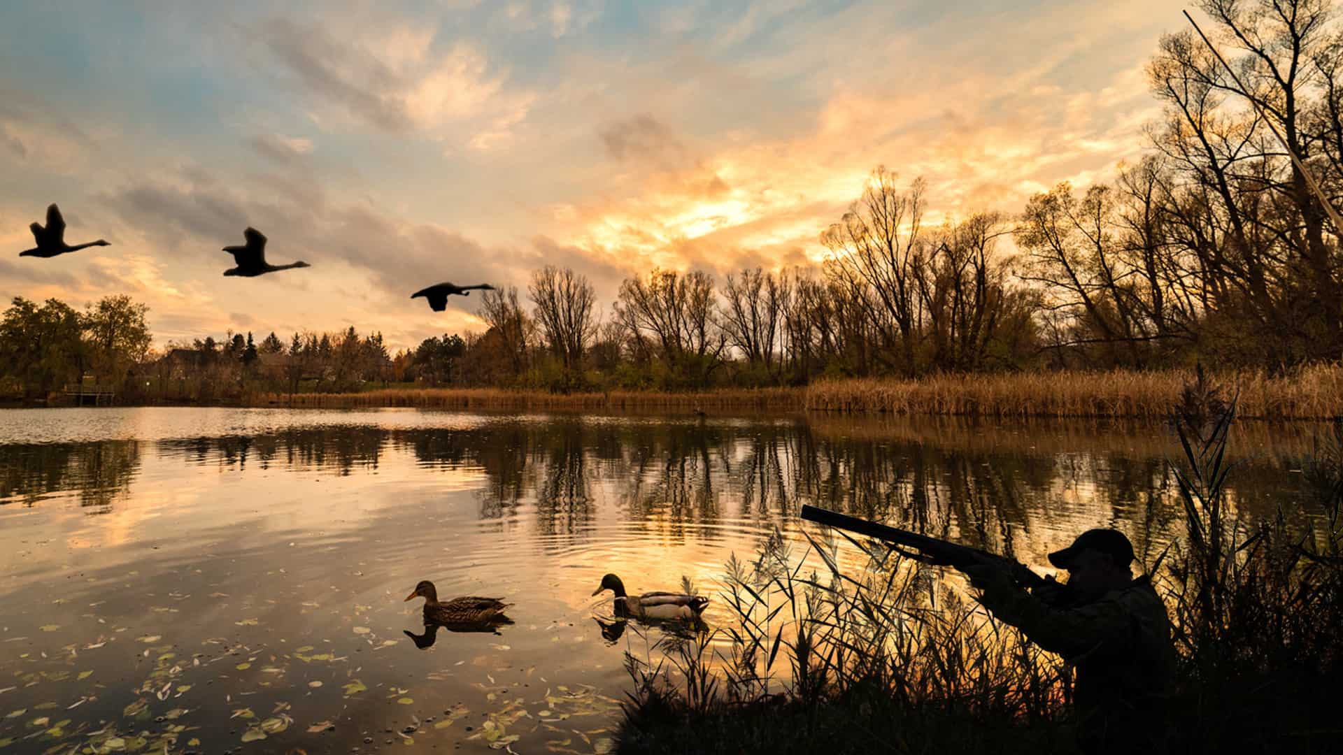A Guided Duck Hunt The Easy Way To Learn Hunting A Guided Duck Hunt The Easy Way To Learn Hunting
