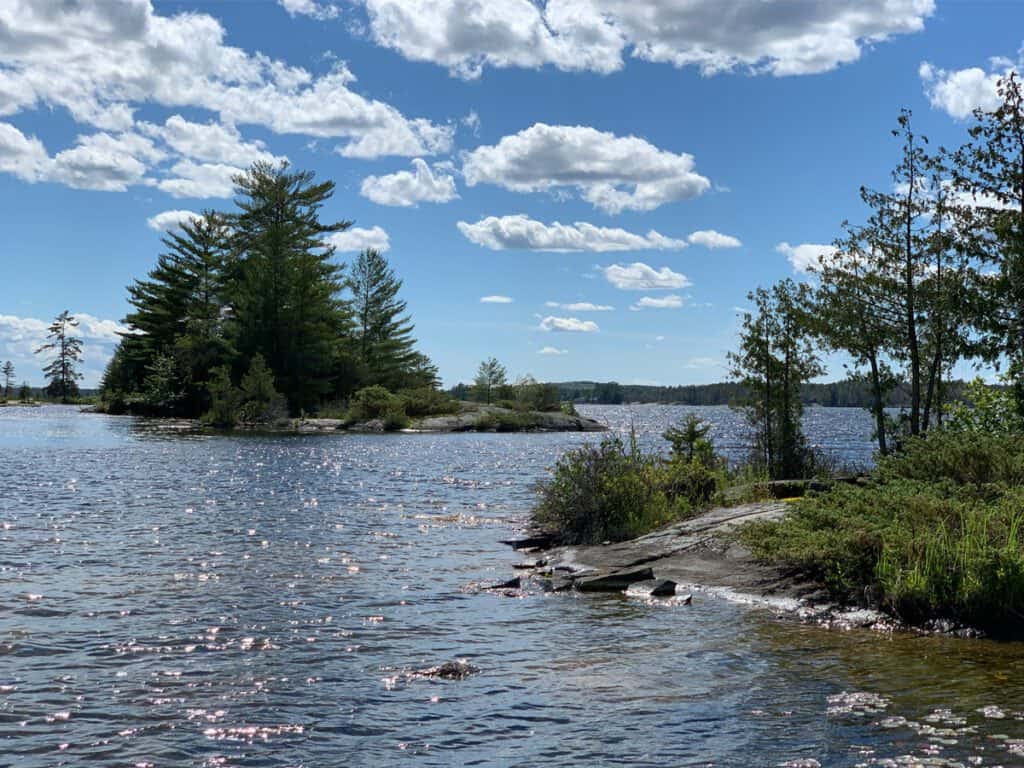 From Fiscal to Forest - Island in the Kawarthas