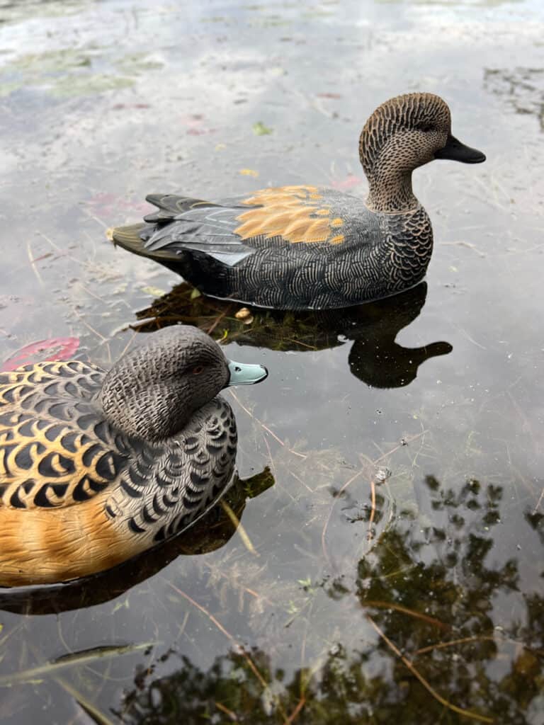 Duck Decoys - Waterfowl Hunting Gear