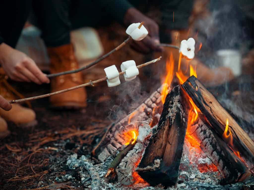 Roasting Marshmallows