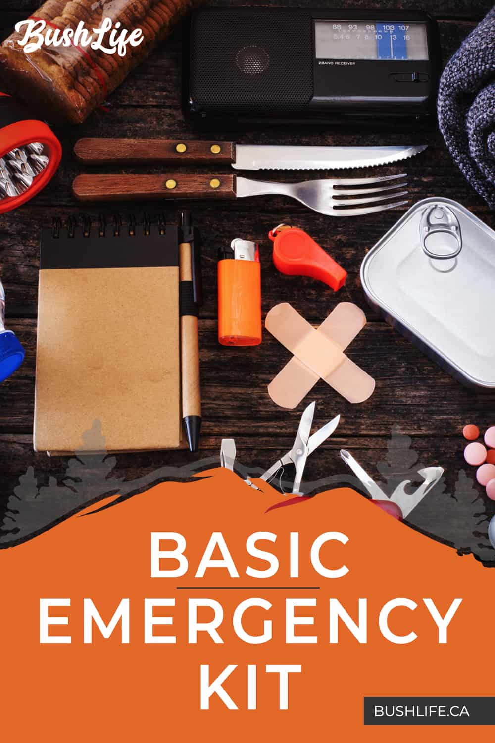 Basic Emergency Kit: Security for Your Family Starts HERE