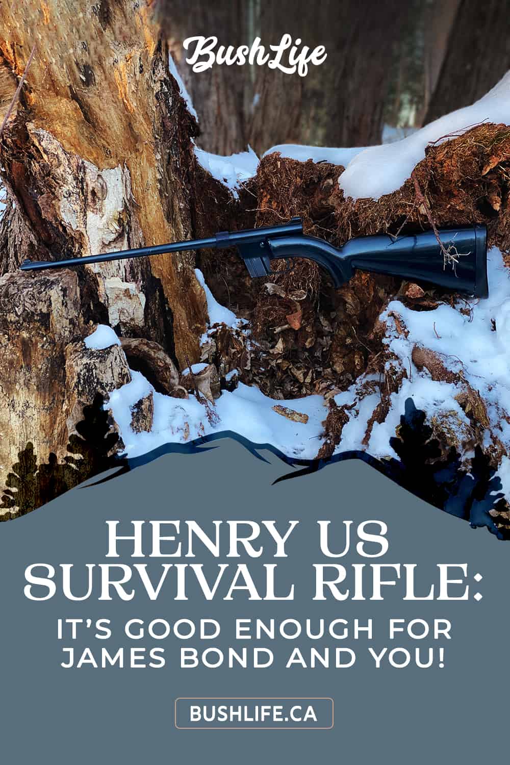Henry US Survival Rifle