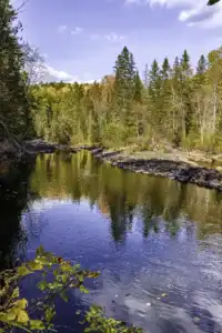 York River lookout from the Egan Chutes Park Trail