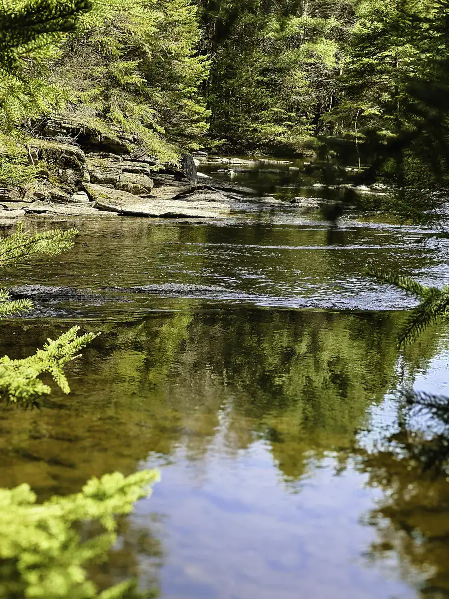 View of Jack's Creek from Jack Creek Bridge off the E107 South ATV trail