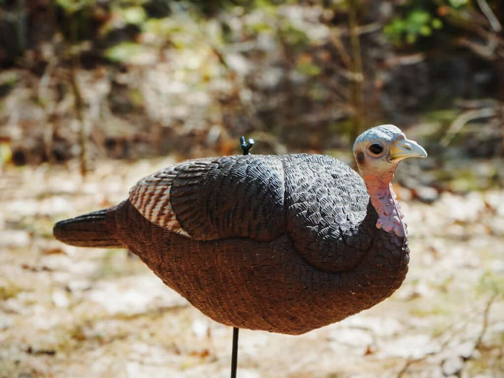 Lil' Gobbstopper: Hen Turkey Decoy