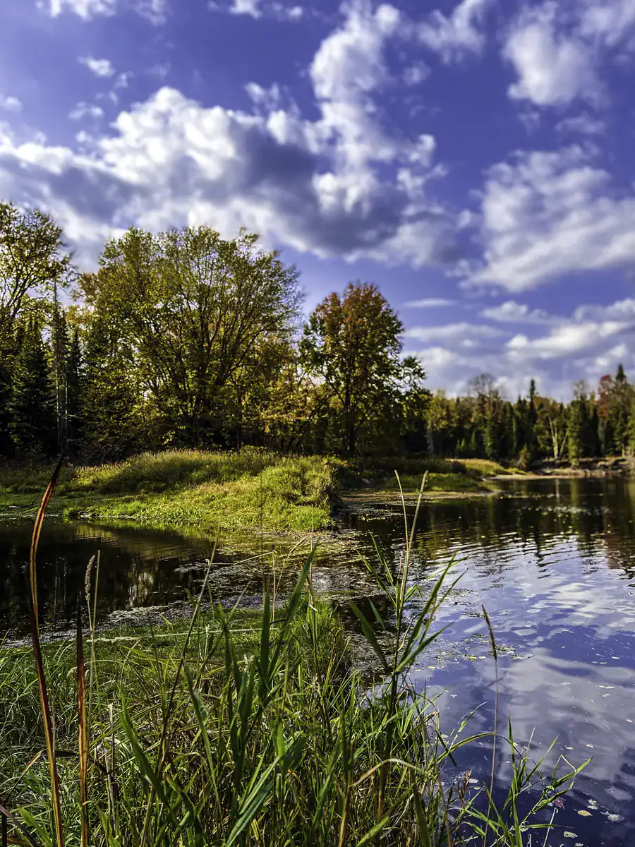 Quiet part of York River