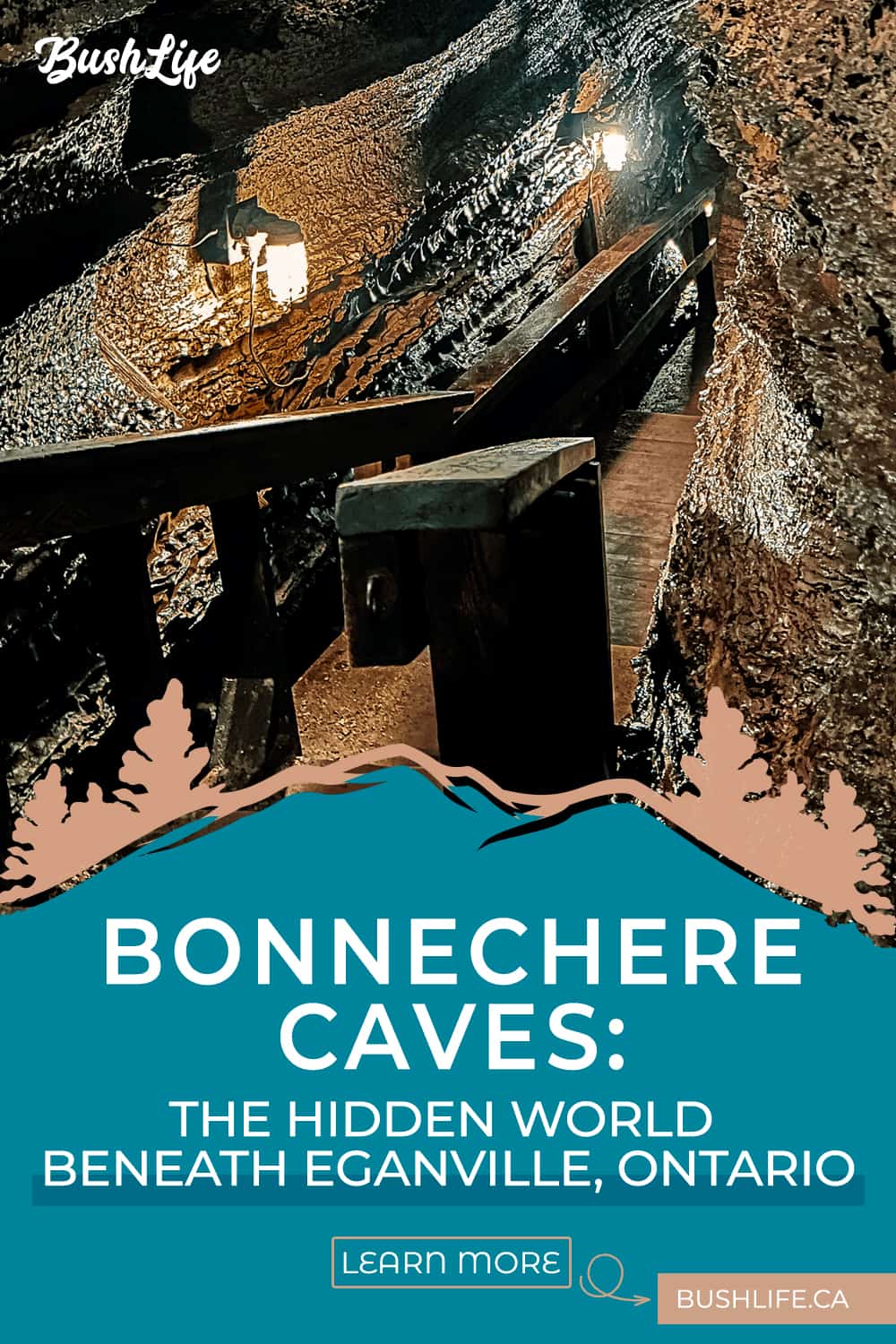 BushLife - Bonnchere Caves PINTEREST