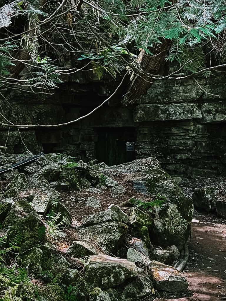 BushLife - Bonnechere Cave Exit