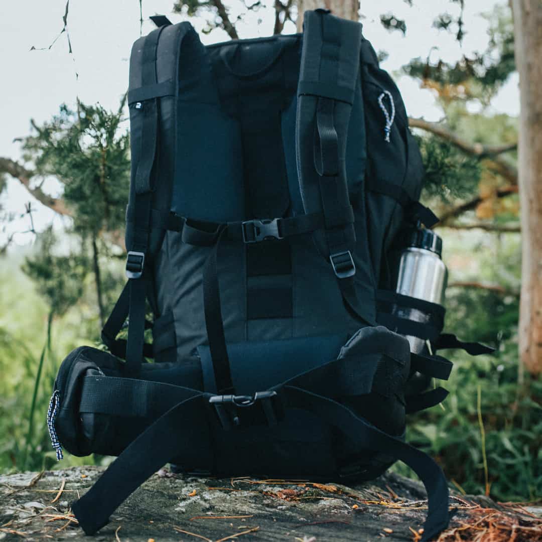 BushLife - Forclaz Travel 100 Hiking Backpack Back