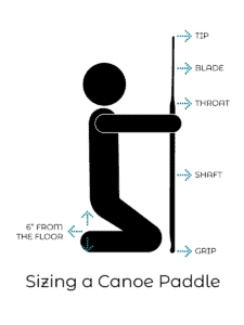 Canoe Paddle Sizing: A Beginner's Guide