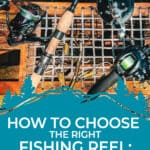 BushLife - Fishing Reel Hero Pinterest pin