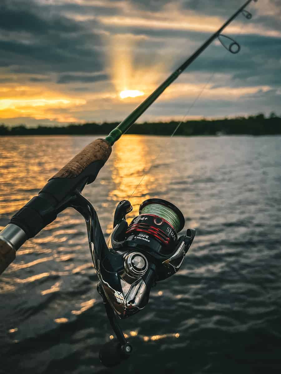 How To Choose the Right Fishing Reel Made Easy