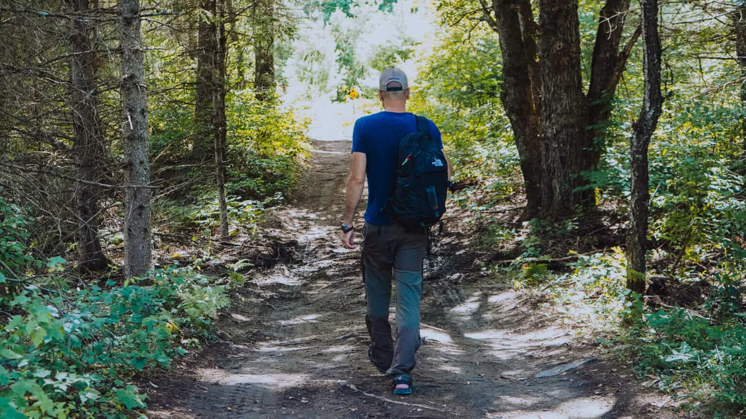 BushLife - Day Hiking Hero