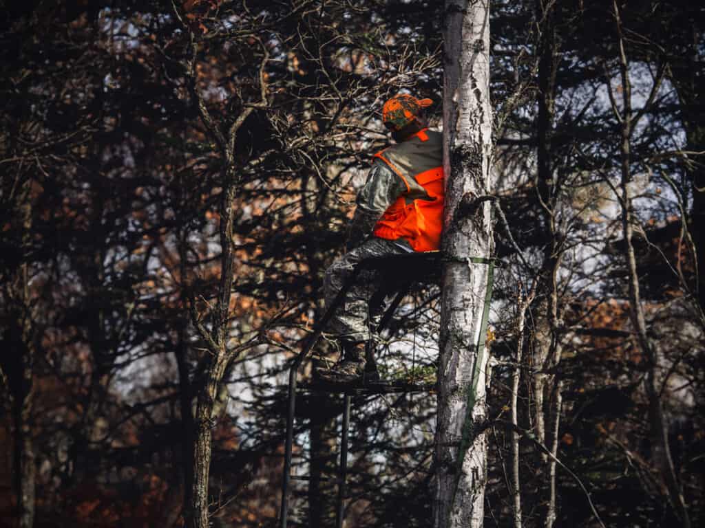 Deer hunter up in a tree stand
