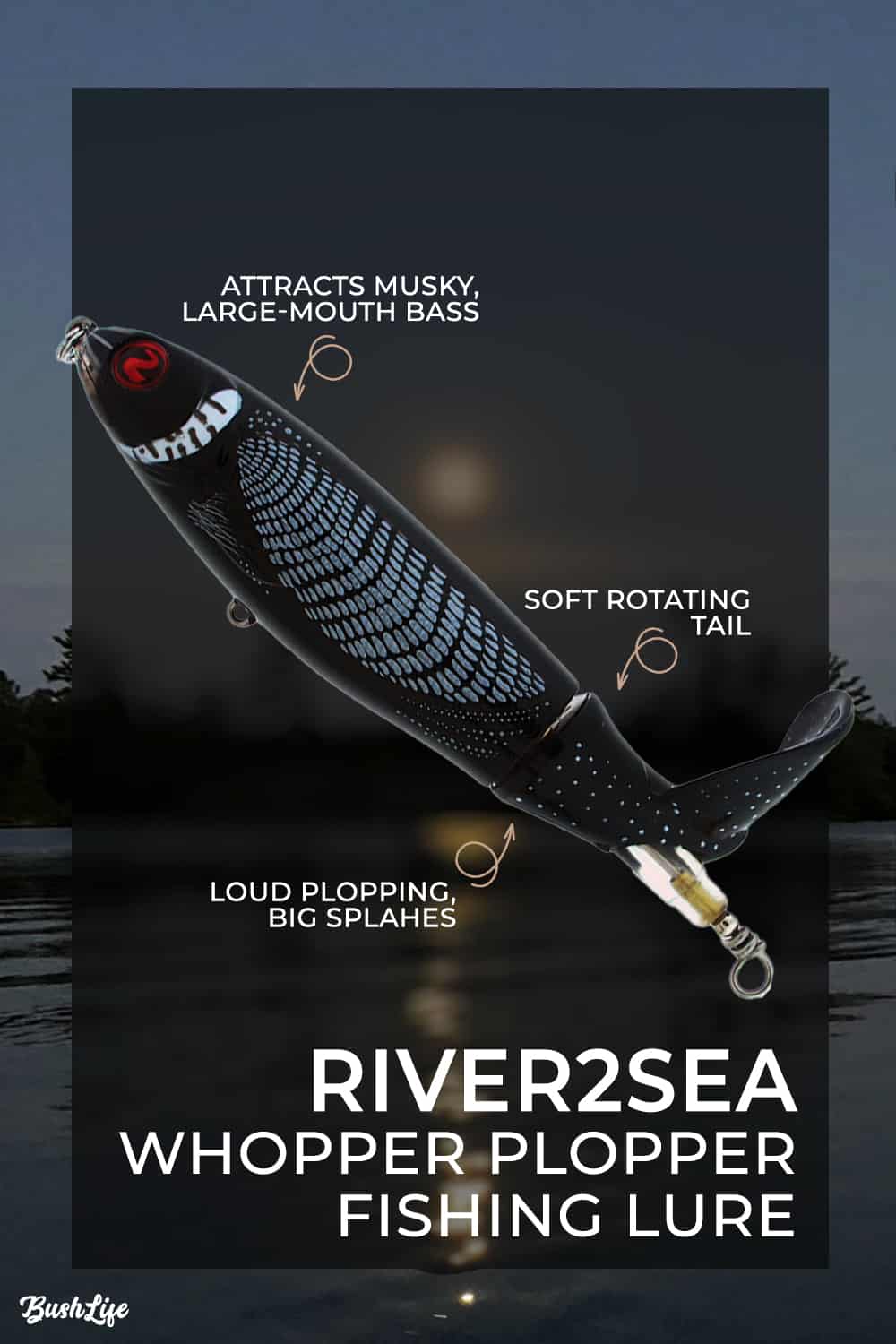 River2Sea