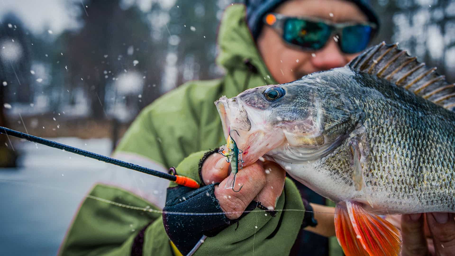 Ice Fishing for Perch: A Beginners Guide