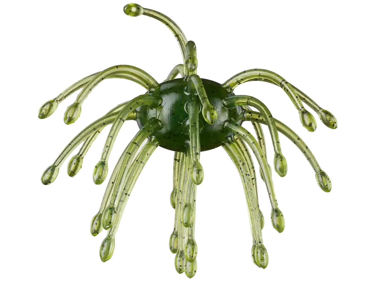 Best Spring Fishing Lures: Our Top New Spring Picks for Bass & Walleye 3 G-Ratt Baits Webber in Watermelon