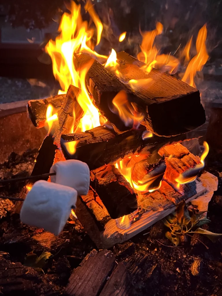 Roasting Marshmallows By the Fire