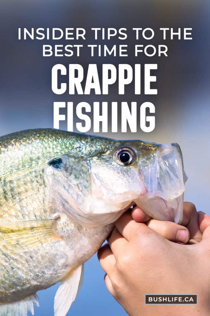 Crappie angler holding up a white crappie