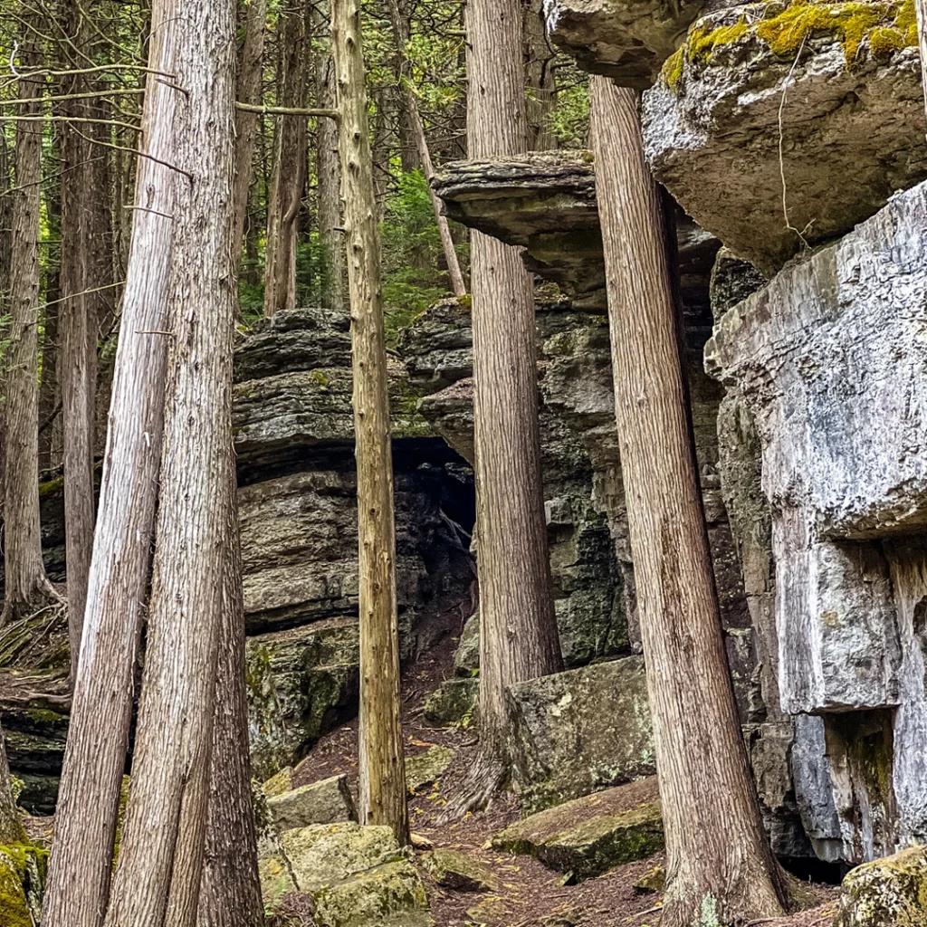 The lookout to the Indian River is on top of those rocks