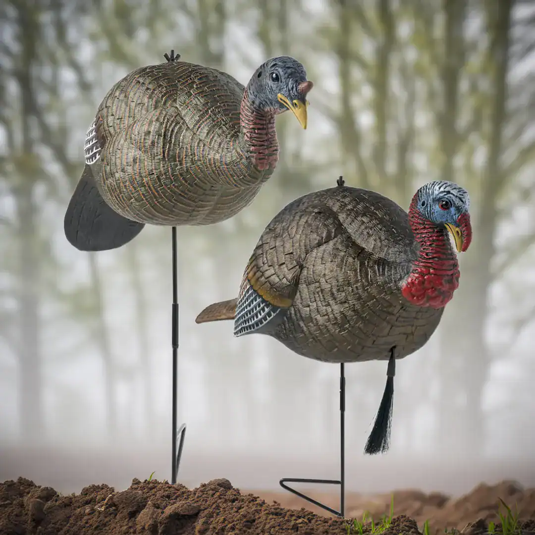jake and hen turkey decoys in a plowed field by the forest