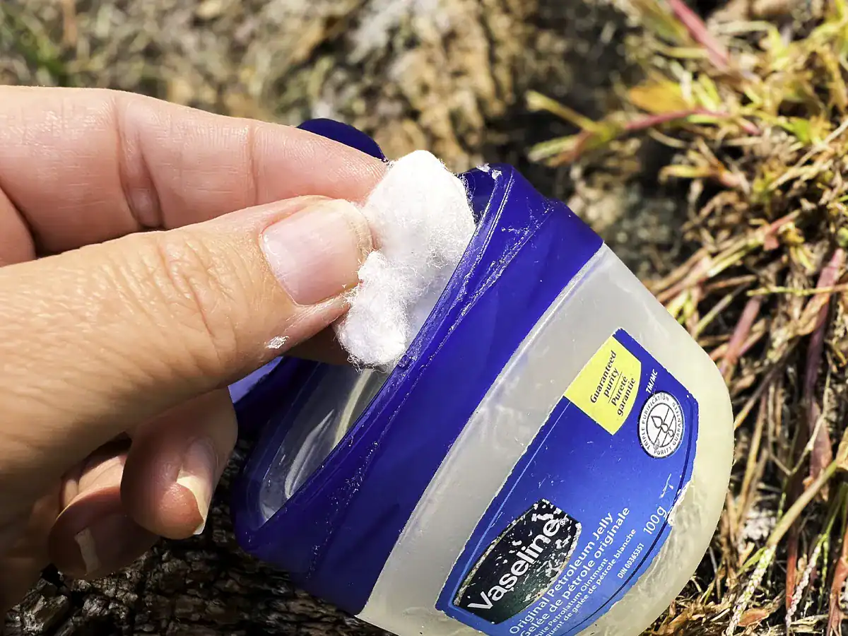dipping a cotton all into a jar of vaseline for easy fire starting