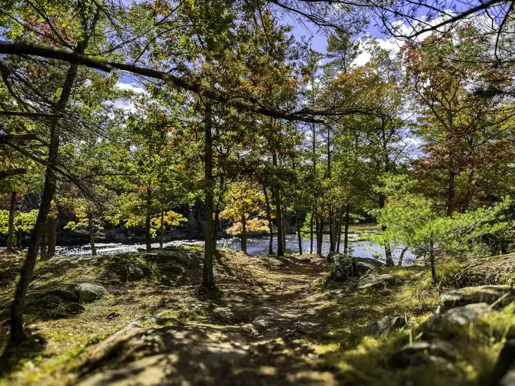 Best Fall Foliage in Ontario: 7 Top Spots for Colour (2026) 2 Crown land camping at Little Jack's Lake in Autumn