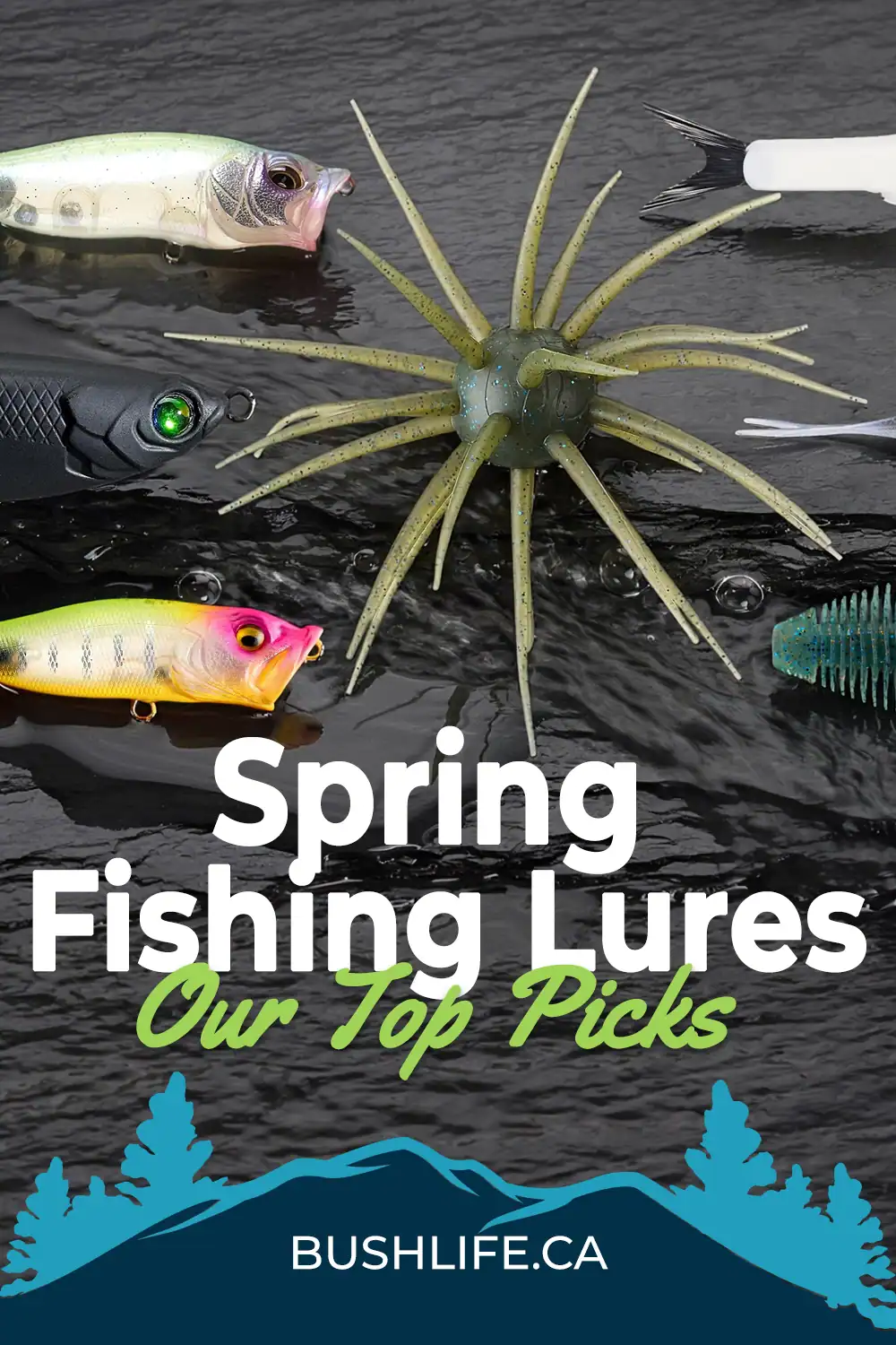Best Spring Fishing Lures: Our Top New Spring Picks for Bass & Walleye 9 spring fishing lures 2026 pinterest pin
