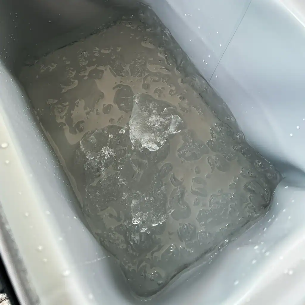 Chilly Moose Coolers Review: Bowen vs Harbour Bucket vs Explorer (Tested) 4 almost melted ice in the 16L Bowen Soft-Side Chilly Moose Cooler in Olive
