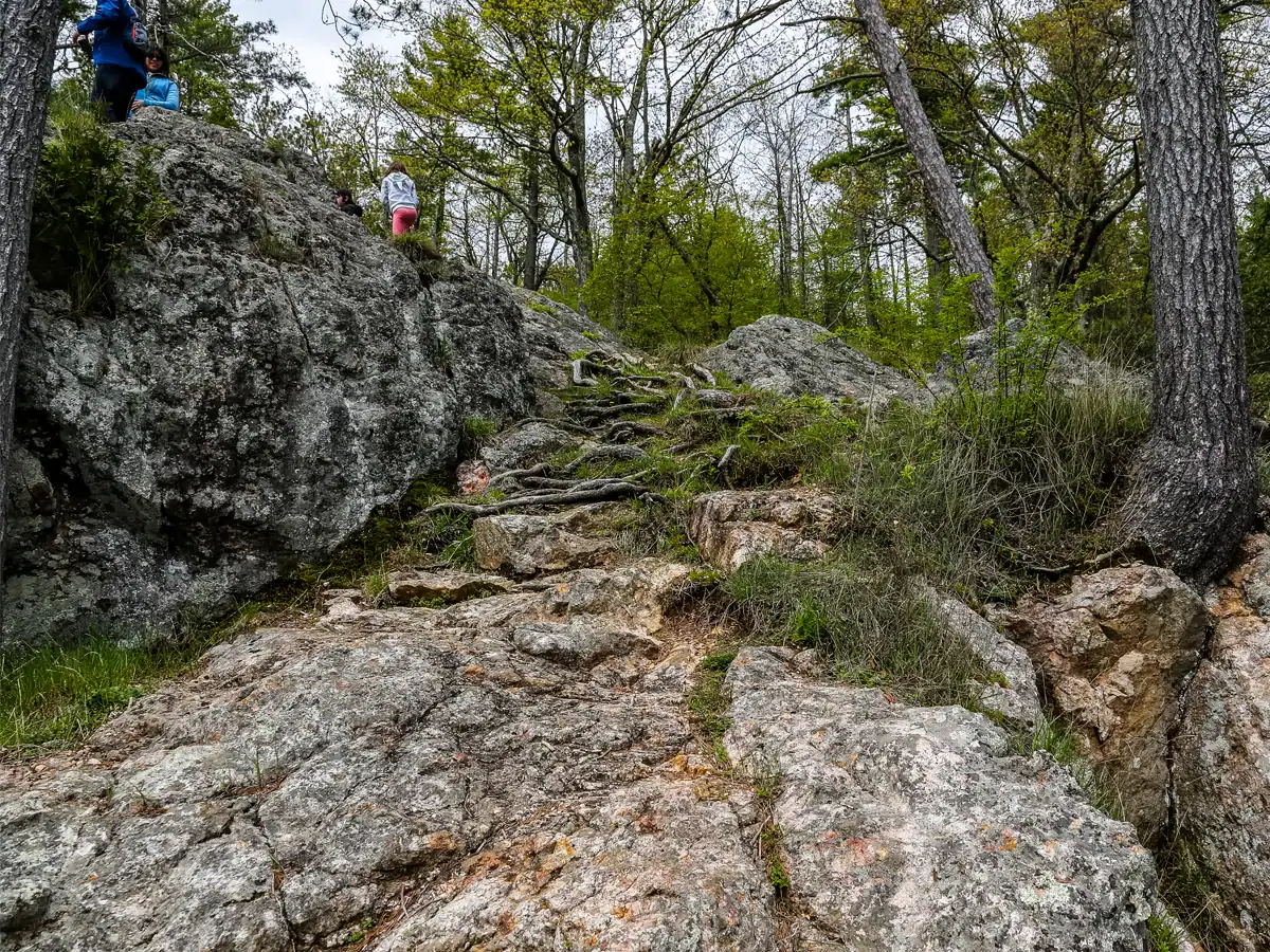 Petroglyphs Provincial Park: A Visitor's Guide to Ontario's Sacred Carvings 5 McGinnis Cliffs Petroglyphs Provincial Park