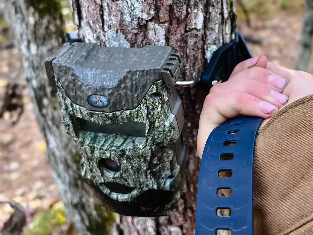 Hook & Loop Utility Straps: A Reusable Bungee Cord Alternative for the Outdoors 13 Big Star Lights Hook & Loop Straps