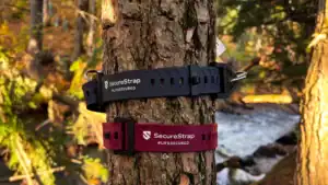 Big Star Lights Hook & Loop Straps
